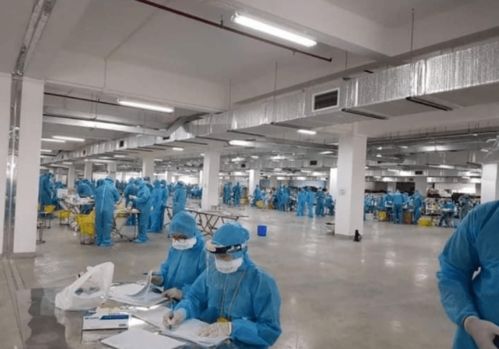 越南疫情警示 工厂聚集感染、瞒报与关联行业的风险连锁反应